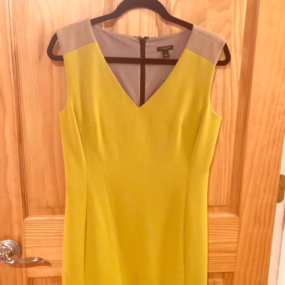 Knee length dress - Ann Taylor
